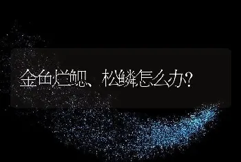 金鱼烂鳃、松鳞怎么办？