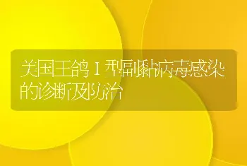 美国王鸽Ⅰ型副黏病毒感染的诊断及防治