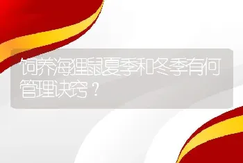 饲养海狸鼠夏季和冬季有何管理诀窍？