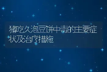 猪吃久泡豆饼中毒的主要症状及治疗措施