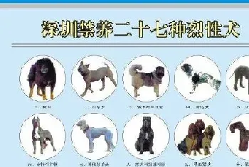 深证市禁养犬类及数目