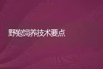 野狍饲养技术要点