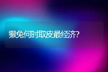 獭兔何时取皮最经济？