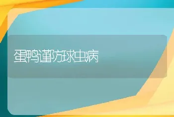 蛋鸭谨防球虫病