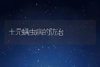 土元螨虫病的防治