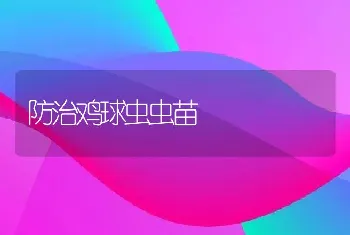 防治鸡球虫虫苗