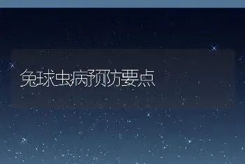 兔球虫病预防要点