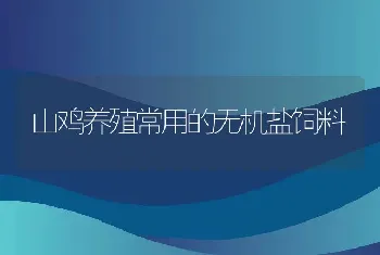 山鸡养殖常用的无机盐饲料