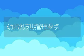 幼蝎脱皮期管理要点