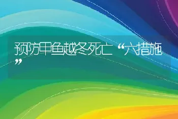 预防甲鱼越冬死亡“六措施”