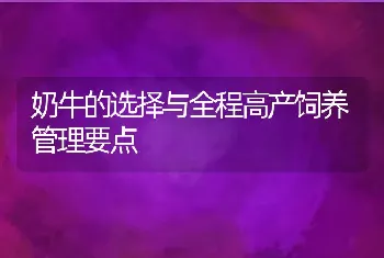 奶牛的选择与全程高产饲养管理要点