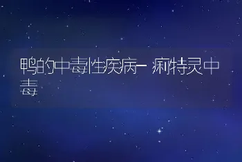 鸭的中毒性疾病-痢特灵中毒