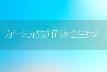 为什么宠物狗到家会生病?