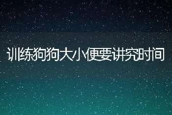 训练狗狗大小便要讲究时间