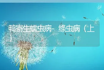 鸭寄生蠕虫病-绦虫病（上）