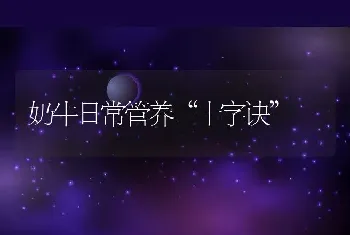 奶牛日常管养“十字诀”