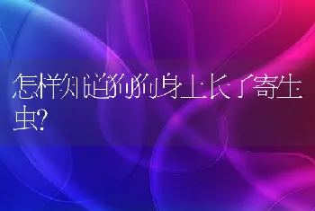 怎样知道狗狗身上长了寄生虫?