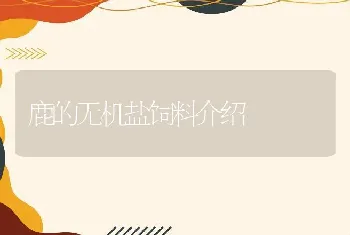 鹿的无机盐饲料介绍