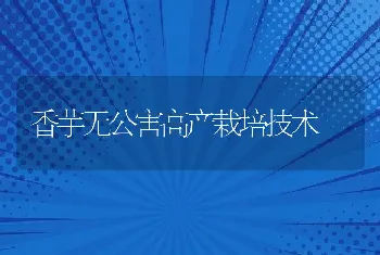 香芋无公害高产栽培技术