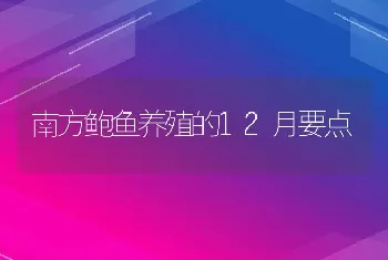 南方鲍鱼养殖的12月要点