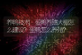 养鸭技术|蛋鸭养殖大棚怎么建设？蛋鸭怎么养殖？