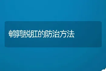 鹌鹑脱肛的防治方法