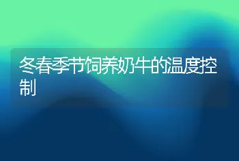 冬春季节饲养奶牛的温度控制