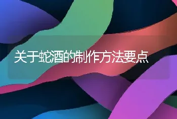 关于蛇酒的制作方法要点