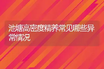 池塘高密度精养常见哪些异常情况