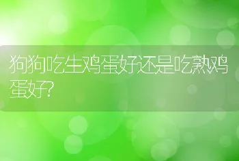 狗狗吃生鸡蛋好还是吃熟鸡蛋好?