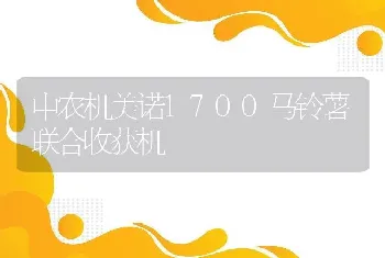 中农机美诺1700马铃薯联合收获机