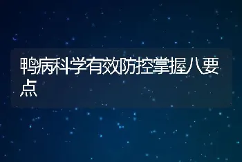 鸭病科学有效防控掌握八要点