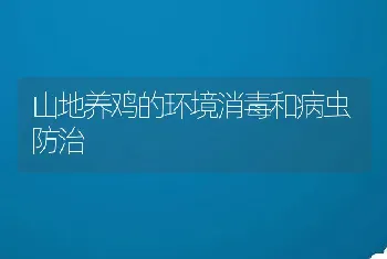 山地养鸡的环境消毒和病虫防治