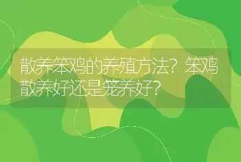 散养笨鸡的养殖方法？笨鸡散养好还是笼养好？