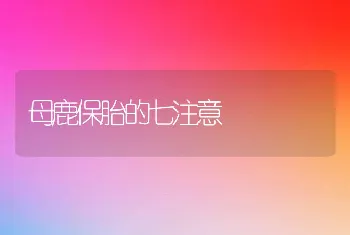 母鹿保胎的七注意