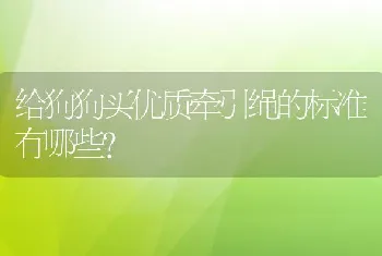 给狗狗买优质牵引绳的标准有哪些?