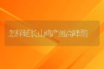 怎样延长山鸡产蛋高峰期