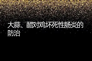 大蒜、醋对鸡坏死性肠炎的防治