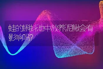 蛙的蝌蚪池中放养泥鳅会有影响吗？