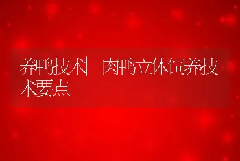 养鸭技术|肉鸭立体饲养技术要点