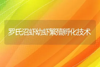 罗氏沼虾幼虾繁殖孵化技术