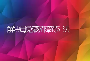 解决母兔繁殖障碍5法