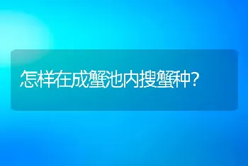 怎样在成蟹池内搜蟹种？