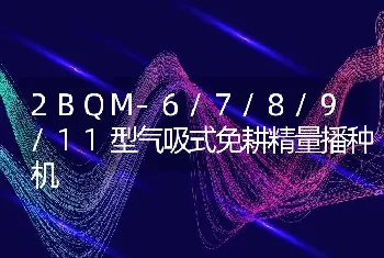 2BQM-6/7/8/9/11型气吸式免耕精量播种机