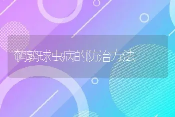 鹌鹑球虫病的防治方法