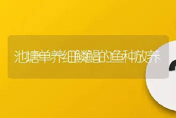 池塘单养细鳞鲳的鱼种放养