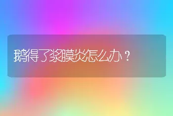 鹅得了浆膜炎怎么办？