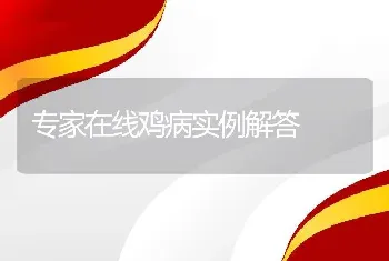 专家在线鸡病实例解答