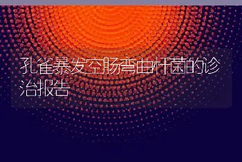 孔雀暴发空肠弯曲杆菌的诊治报告