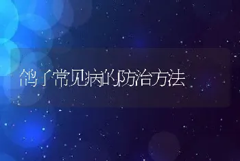 鸽子常见病的防治方法